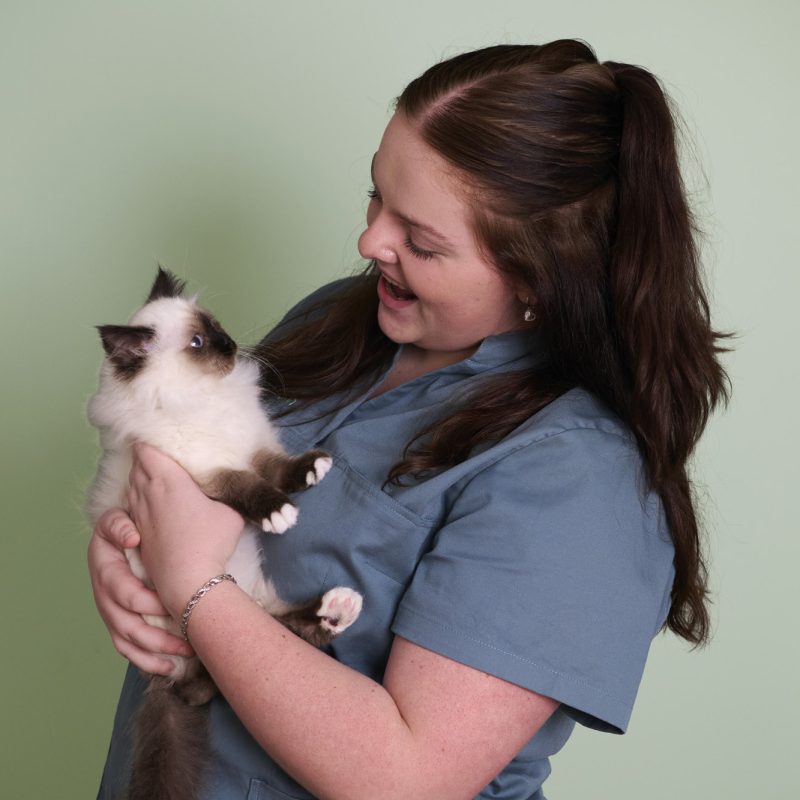 Amy Dierenkliniek Dorperduin