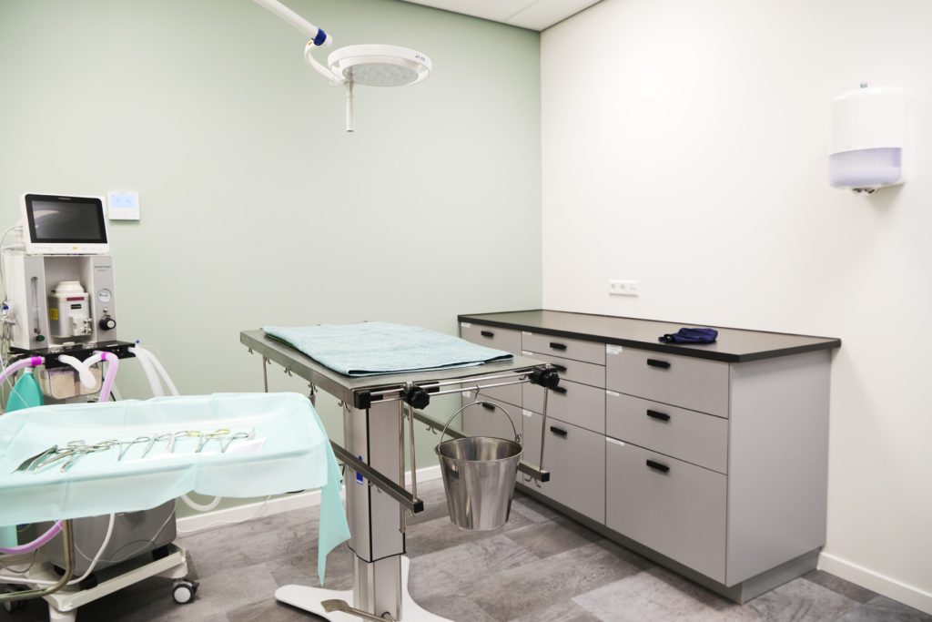 Dierenkliniek Dorperduin operatiekamer