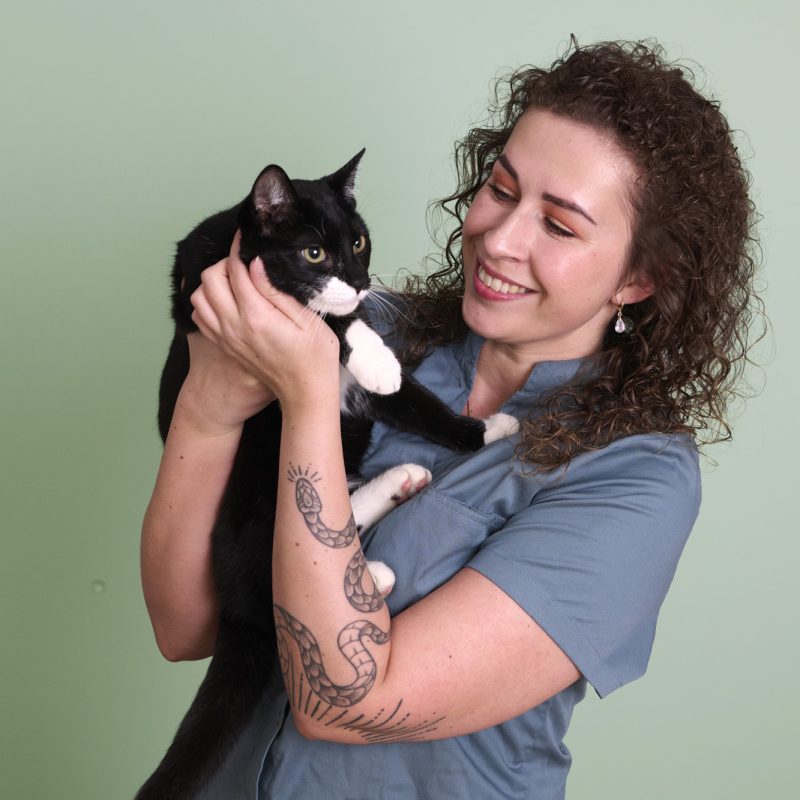 Shanna Dierenkliniek Julianadorp